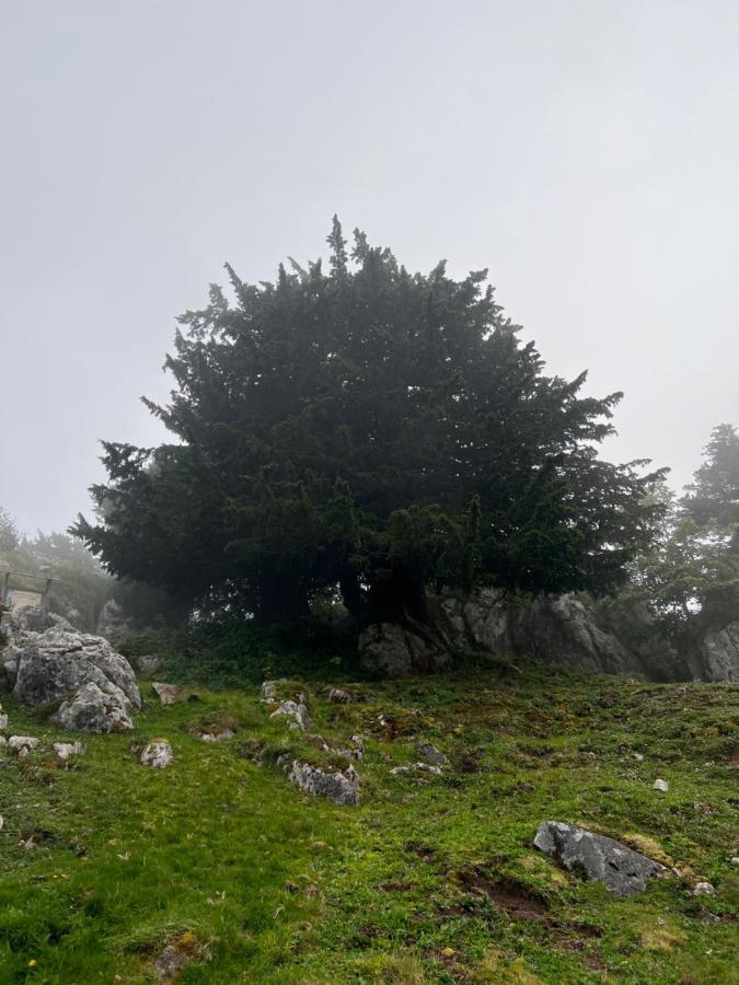 Casa Rural Basiver - Suite Basiver Armano Εξωτερικό φωτογραφία
